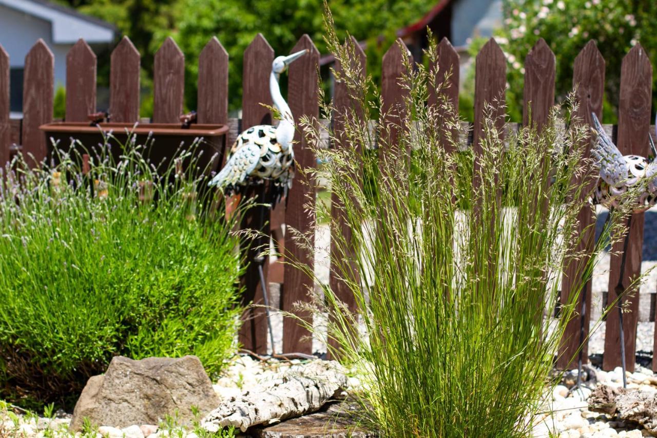 Apartmány Berries Valča Esterno foto