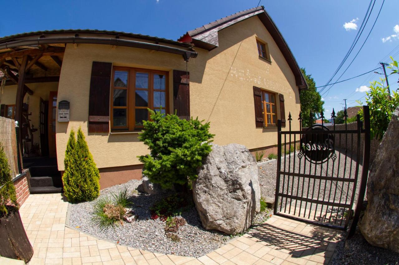 Apartmány Berries Valča Esterno foto